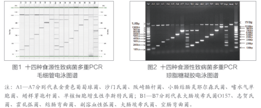 QQ截圖20200731095741.png